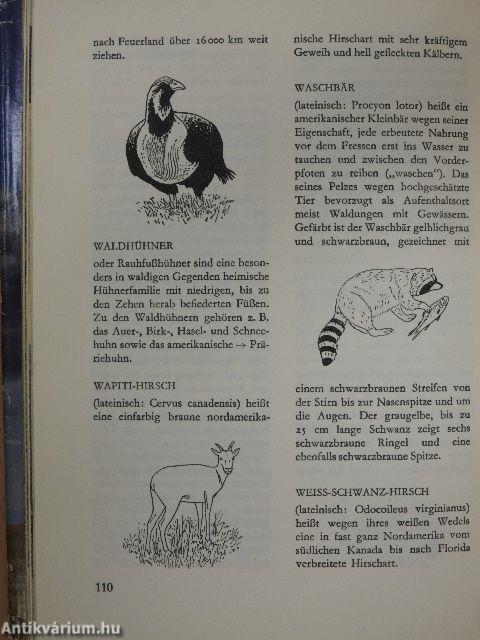 Walt Disney: Wunder der Prärie