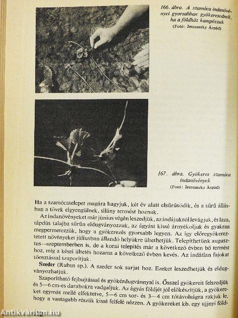 Oltás, szemzés, dugványozás