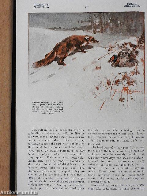 Pearson's Magazine 1907. (nem teljes évfolyam)