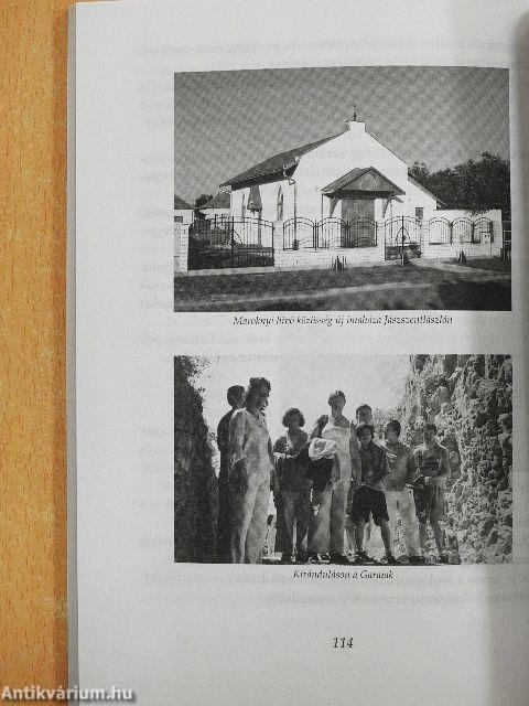 A misszió alternatívái