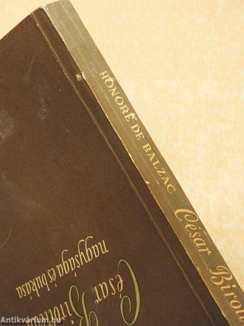 César Birotteau nagysága és bukása