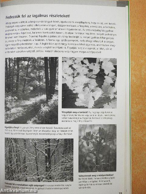 Első ceruzavonások