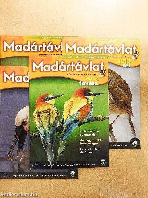 Madártávlat 2013. tavasz-tél