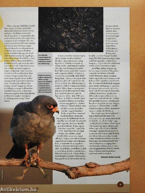 Madártávlat 2013. tavasz-tél