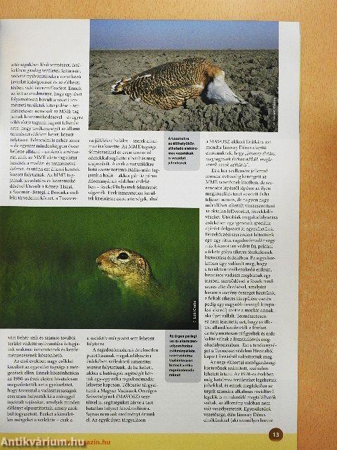 Madártávlat 2014. tavasz-tél