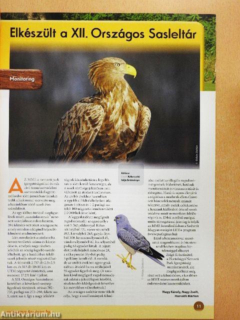 Madártávlat 2015. tavasz-tél