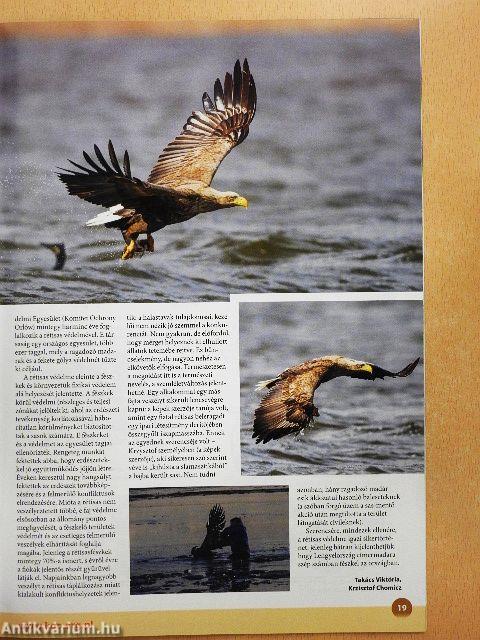 Madártávlat 2016. tavasz-tél