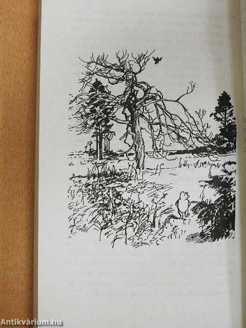 Micimackó és a tao