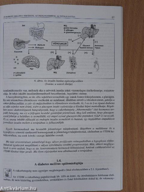Diabetológiai ismeretek ápolók részére