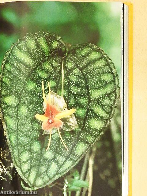 National Geographic January-December 1971. I-II.