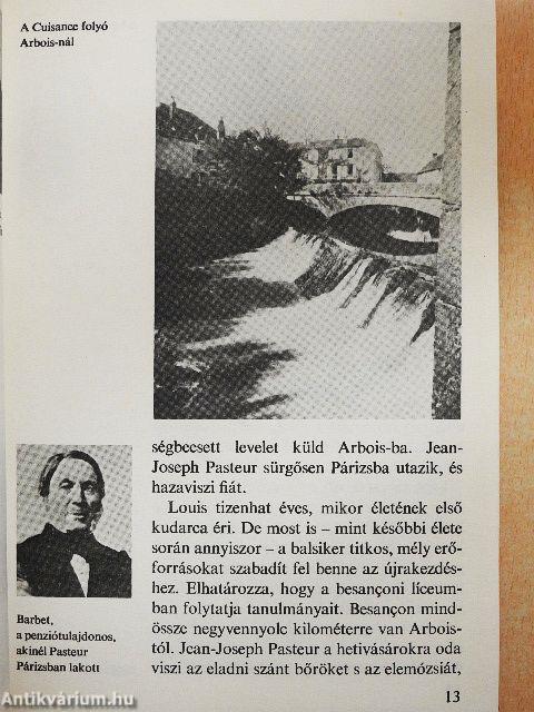 Így élt Pasteur