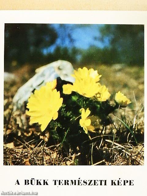 A Bükk természeti képe