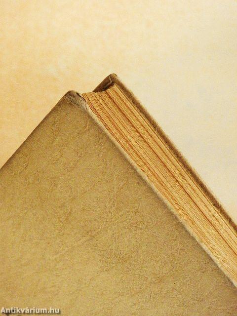 A volokalámszki országút