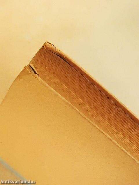 Messze a front mögött