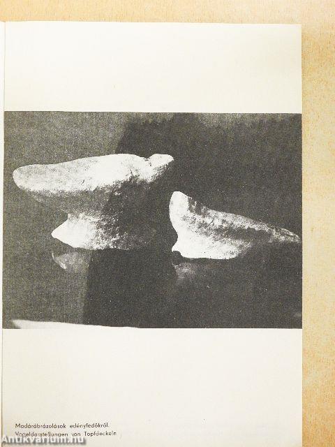 Az újkőkori falu/Das Neolithische Dorf