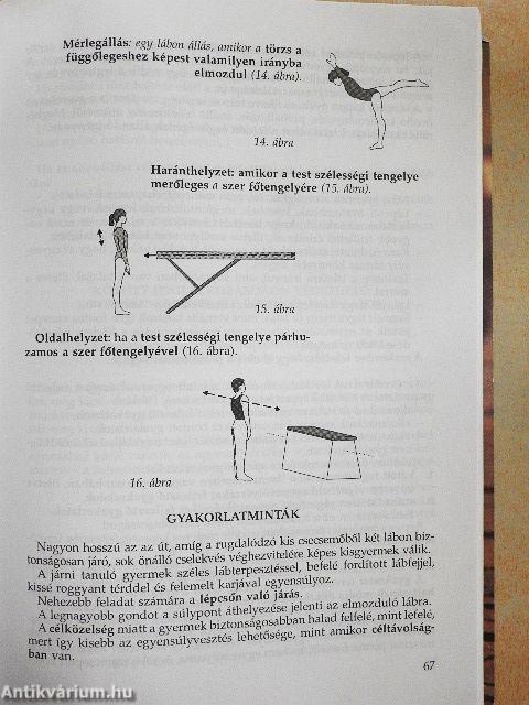 Játék, egyensúlyozás, vízhez szoktatás