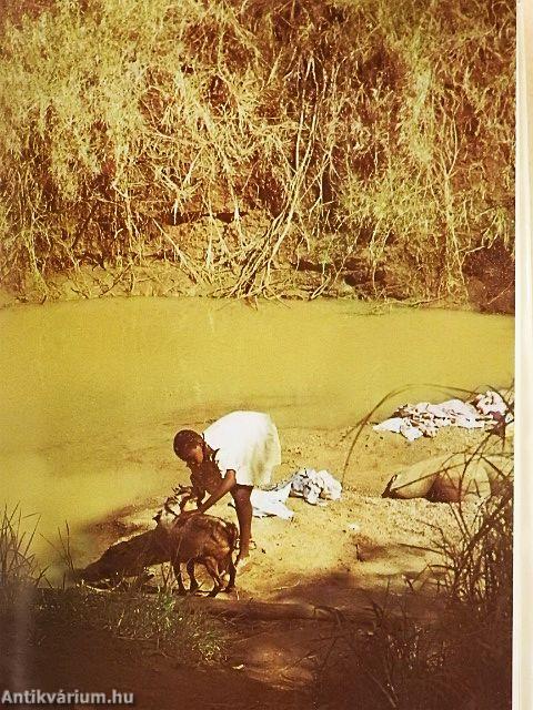 Szafári a Kilimandzsáró alatt