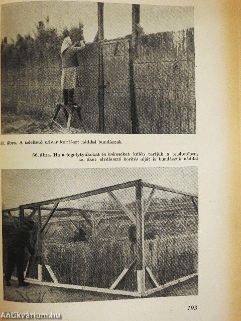 Nyúl, fogoly, fácán