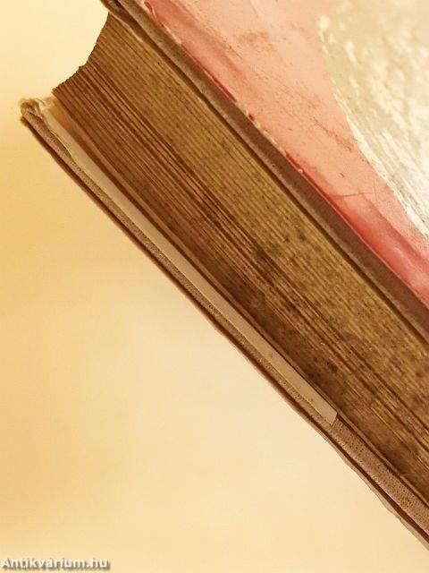 A nő és a szocializmus