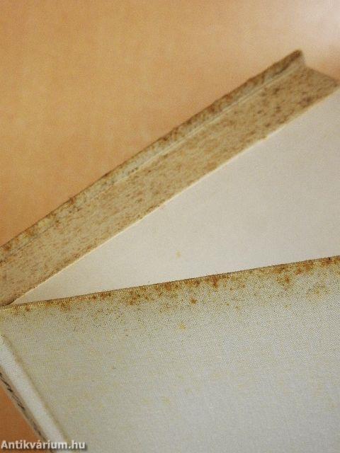 A történelem bizalmasa