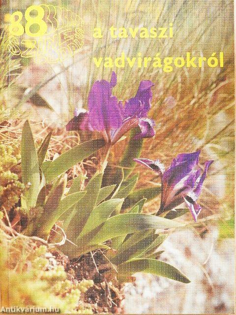 A tavaszi vadvirágokról