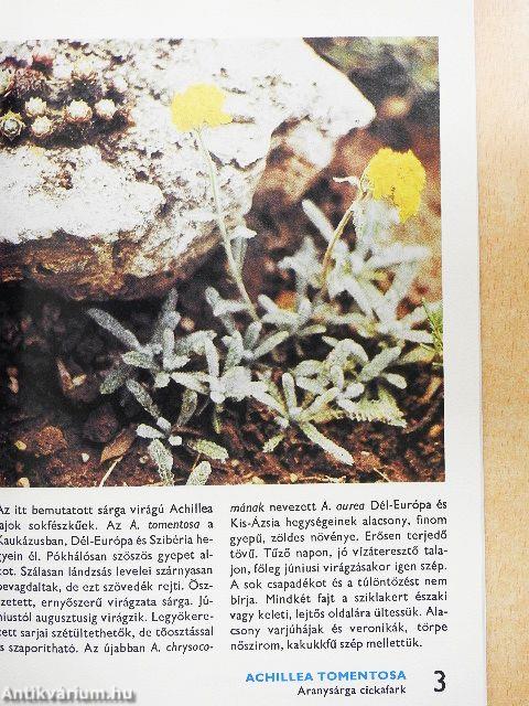 A sziklakerti növényekről