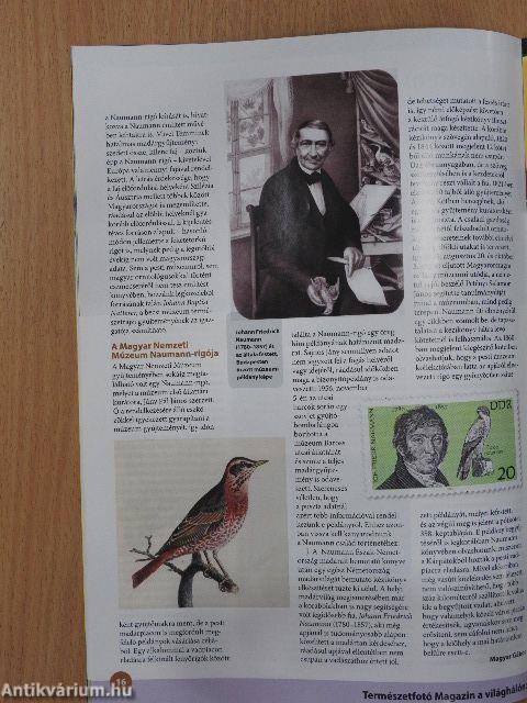 Madártávlat 2016. tavasz-tél