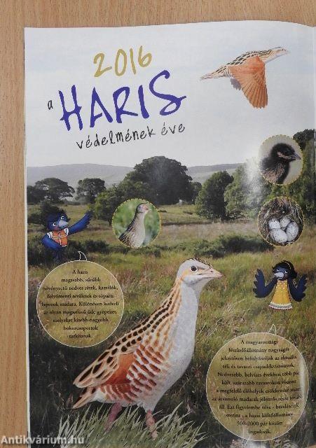 Madártávlat 2016. tavasz-tél