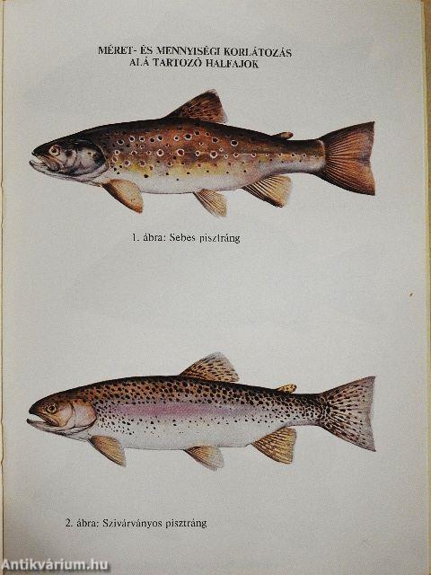 Amit a horgásznak tudnia kell