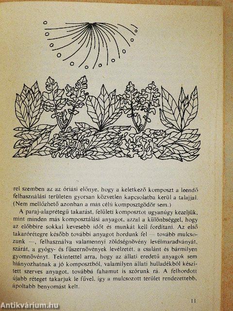 Növénytársítás az öngyógyító veteményesben