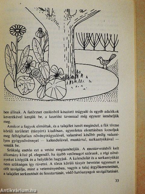 Növénytársítás az öngyógyító veteményesben