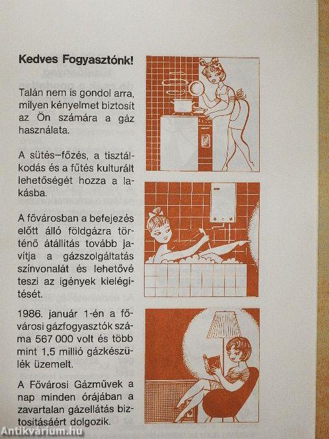 Fővárosi Gázművek a lakosság szolgálatában