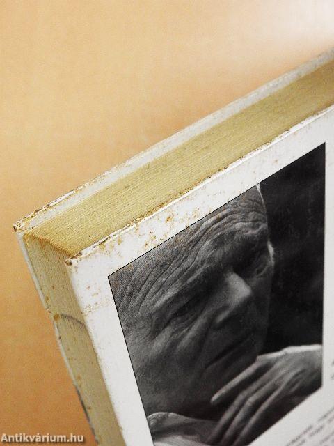 A Balaton elrablása