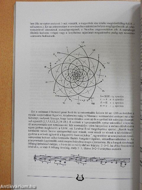 Ötvenéves a szegedi Király-König Péter Zeneiskola