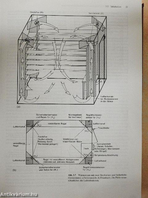 Tierische Zellkulturen
