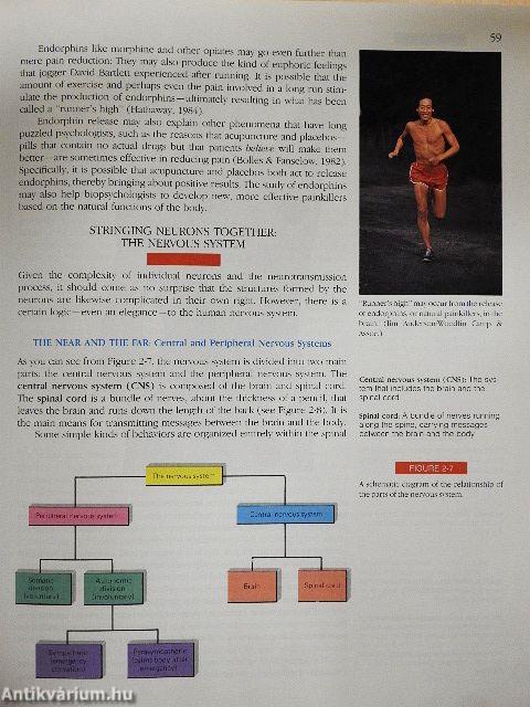 Understanding Psychology