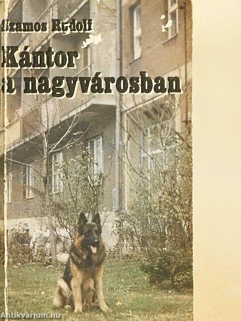 Kántor a nagyvárosban