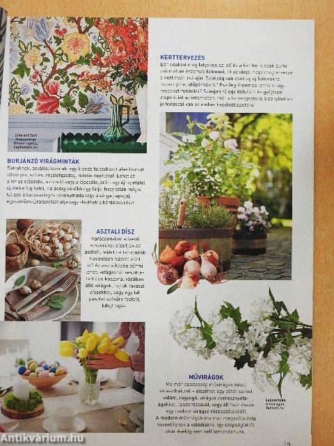 Otthonok & Megoldások 2021/1-4.