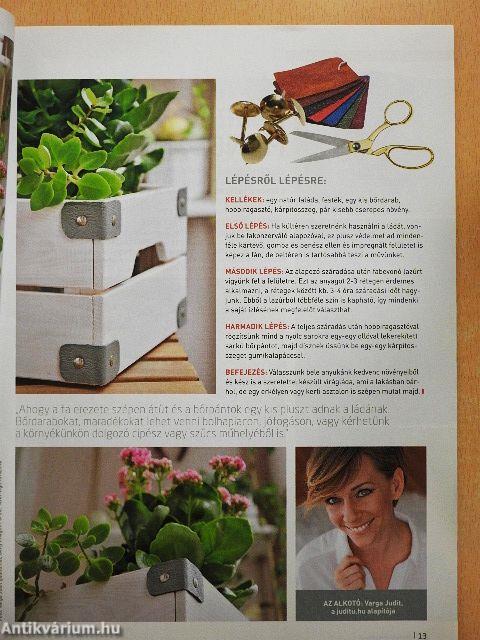 Otthonok & Megoldások 2021/1-4.