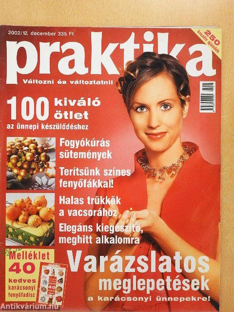 Praktika 2002. december