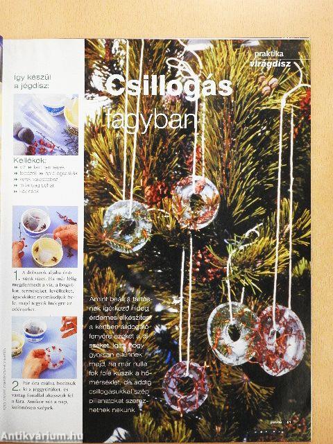 Praktika 2002. december