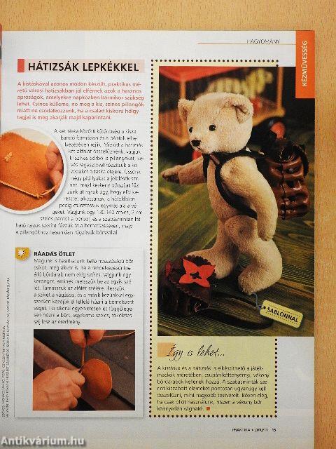 Praktika 2010. november