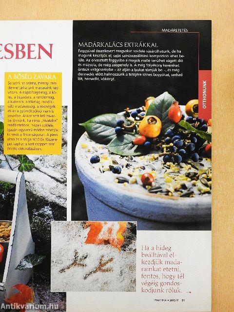 Praktika 2010. november