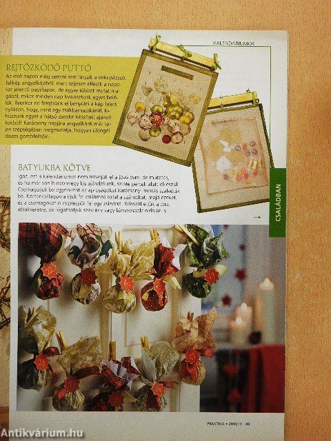 Praktika 2010. november