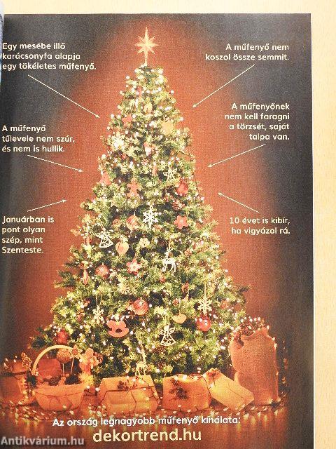 Otthonok & Megoldások 2020/04