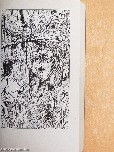 "22 kötet a Tarzan könyvek sorozatból (nem teljes sorozat)"