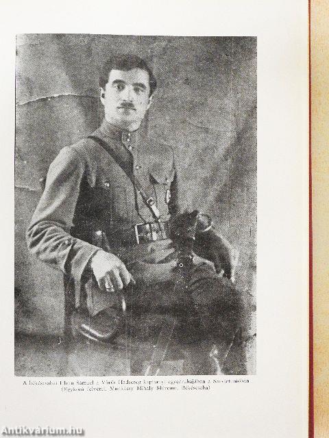 A Tanácsköztársaság Békés megyében 1919