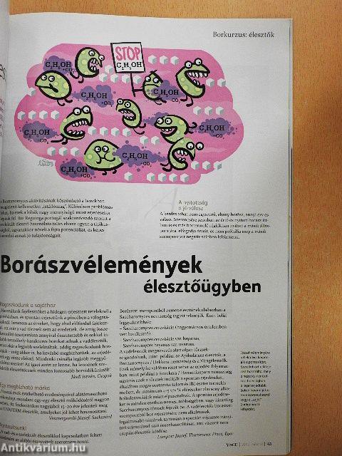 VinCE 2013. március