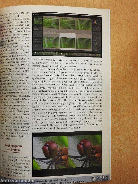 Foto Mozaik 2007. június