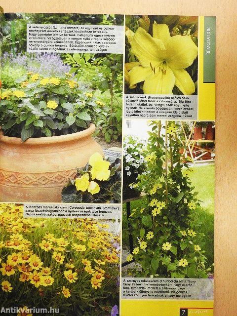 Kertbarát Magazin 2011/5-6.